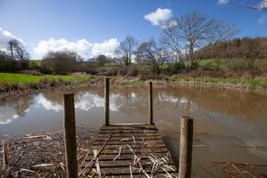 Pond - click for photo gallery